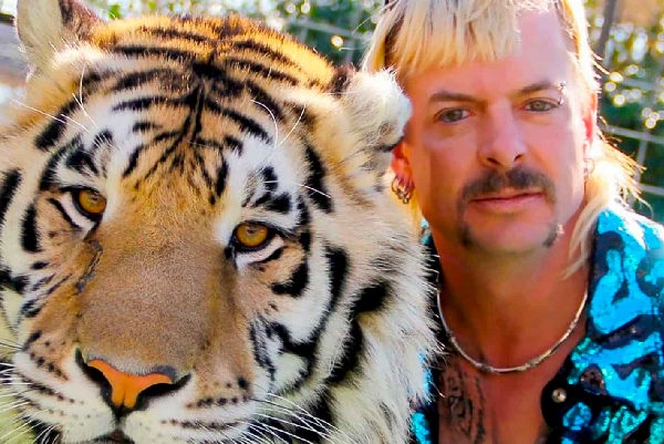A MÁFIA DOS TIGRES ESTÁ CONSEGUE BATER MARCA IMPRESSIONANTE NA NETFLIX!