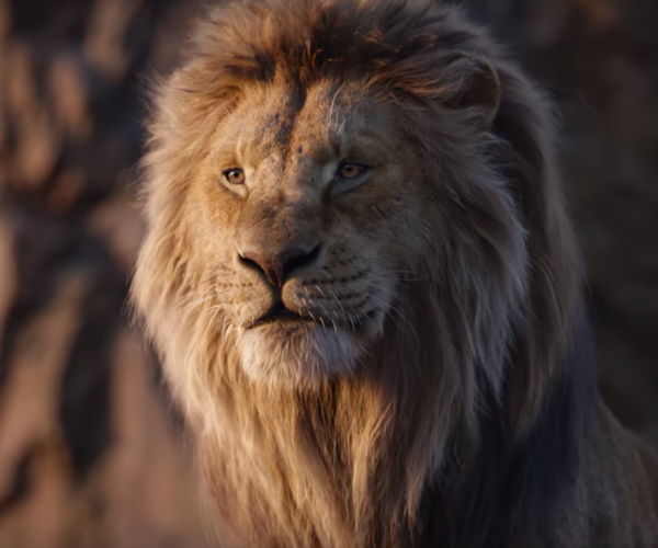 DISNEY PLANEJA SEQUÊNCIA DO LIVE ACTION DE O REI LEÃO!