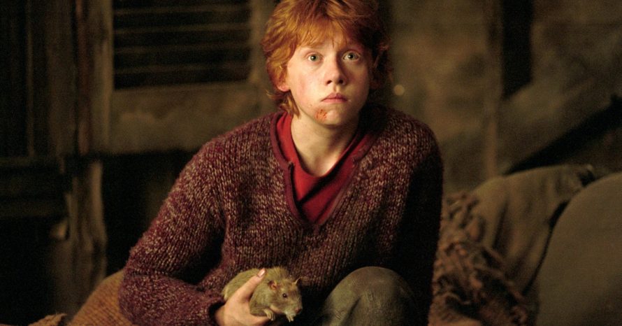 Rupert Grint fala sobre a possibilidade de um novo filme de Harry Potter