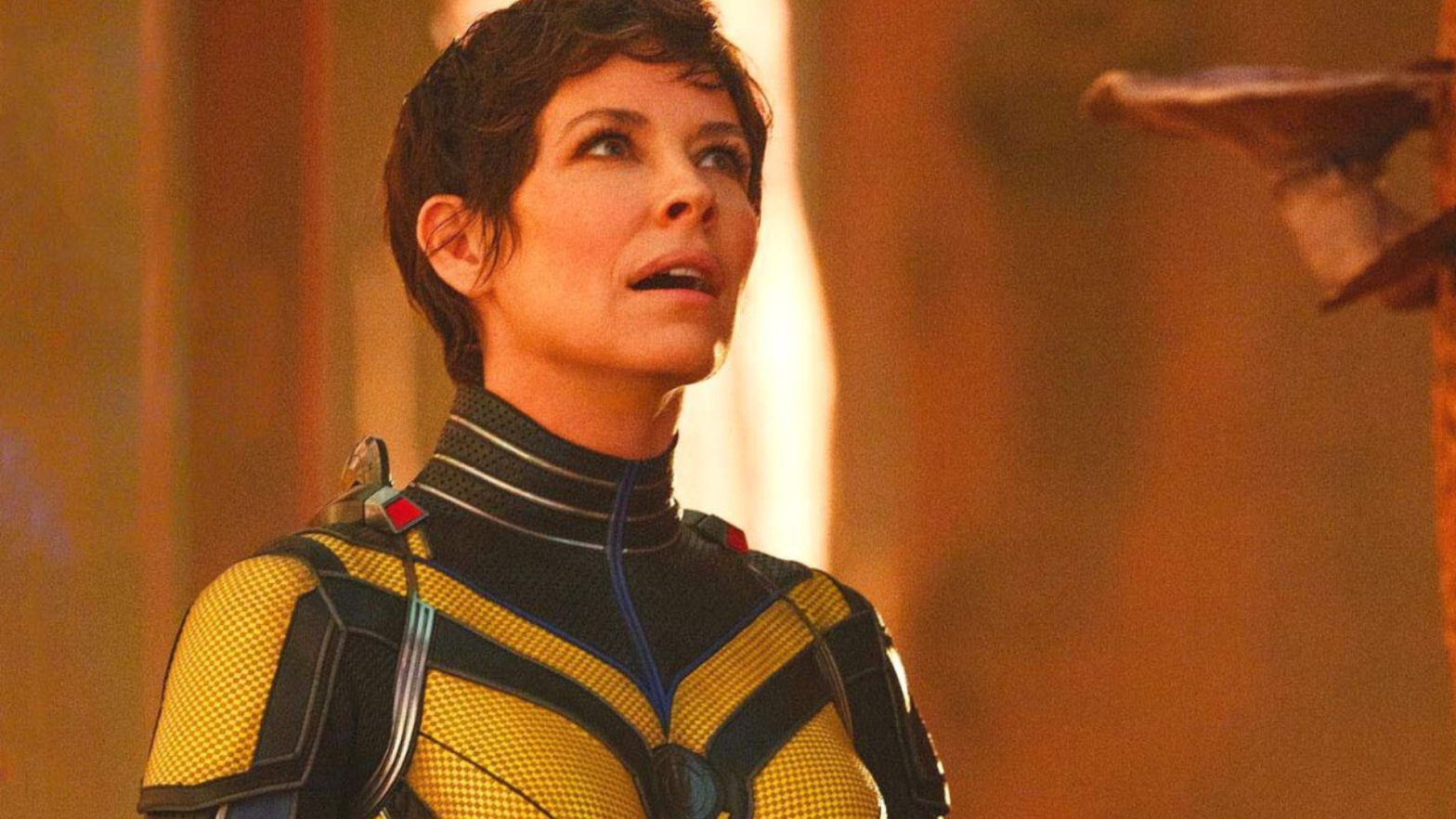 Evangeline Lilly quer protagonizar um filme solo da Vespa