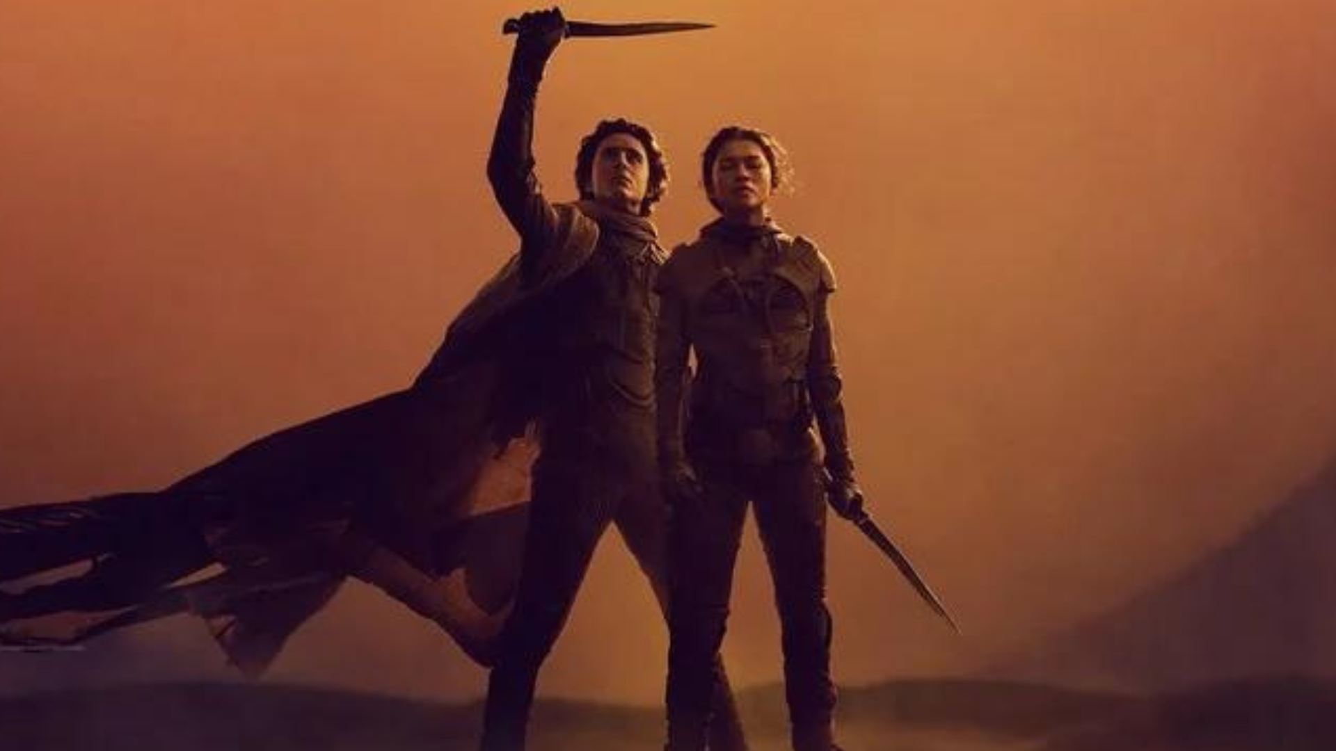 Adiamento de Duna: Parte Dois é “muito improvável”, diz executivo