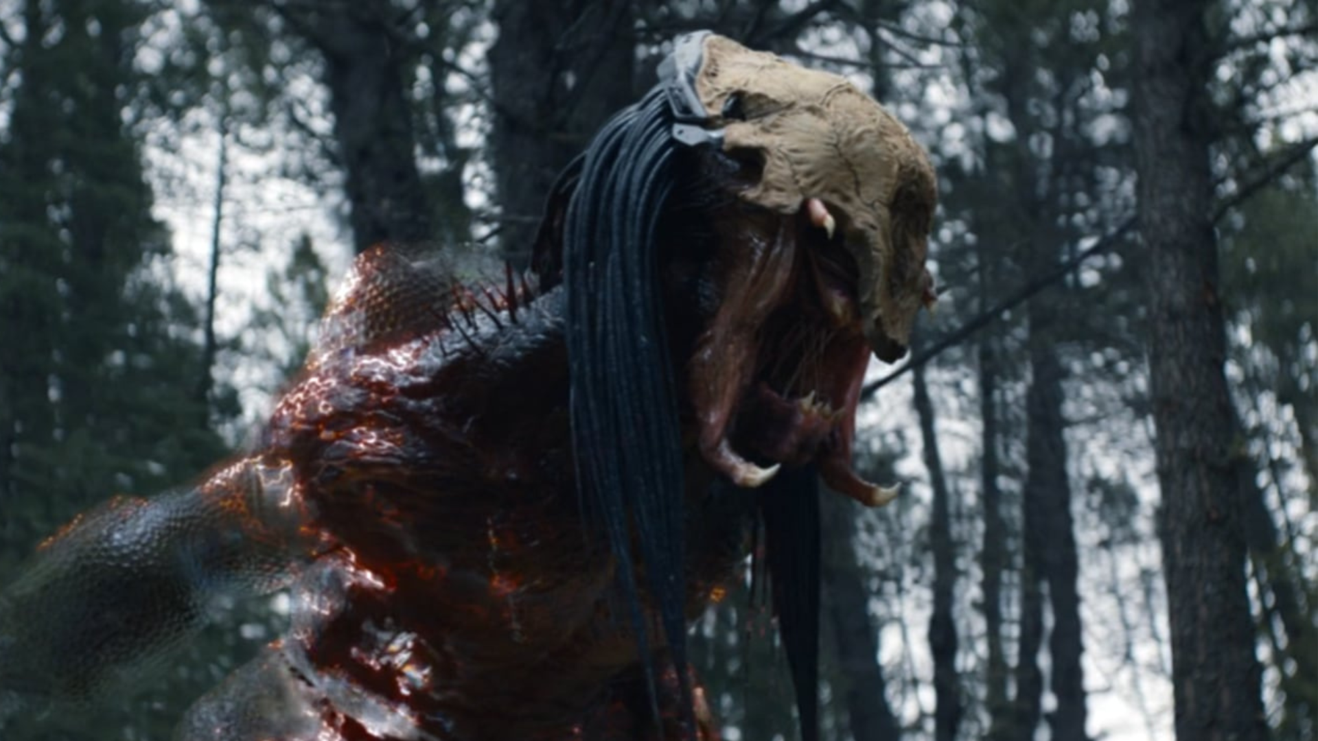 Sequência de O Predador: A Caçada pode estar em desenvolvimento