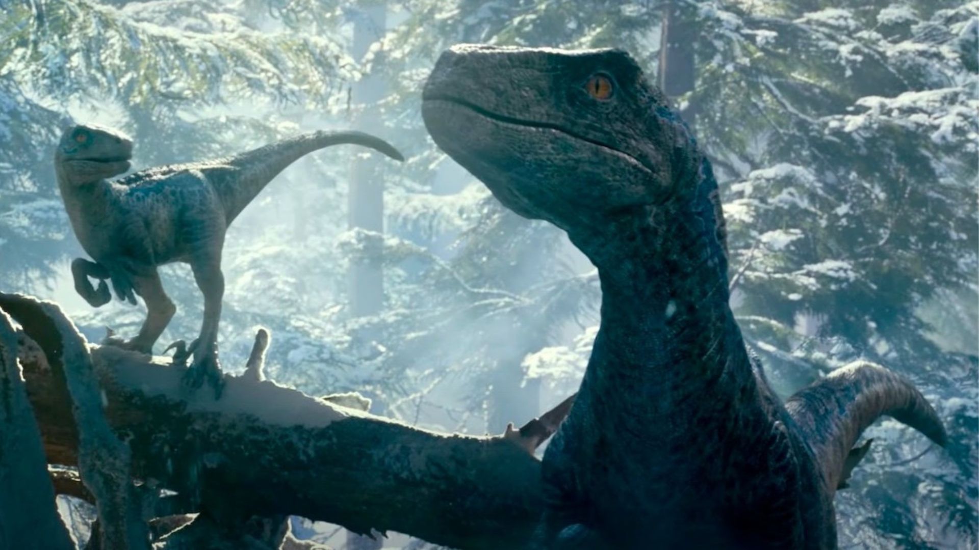 Jurassic World 4 encontra seu diretor